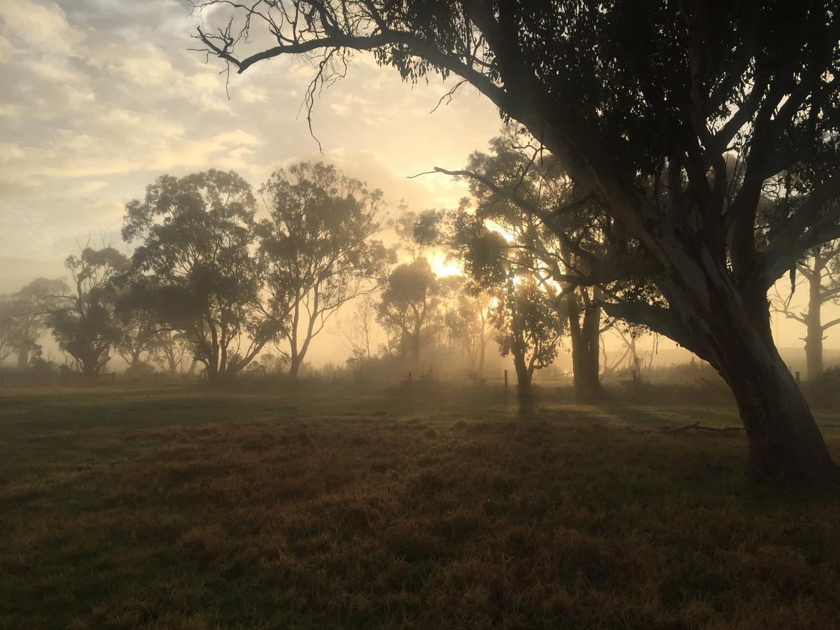 Bush Retreat Farm Stay 2 Bedroom Guest Suite Gelliondale エクステリア 写真